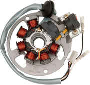 Ricks Motorsport elektrisk stator til Polaris