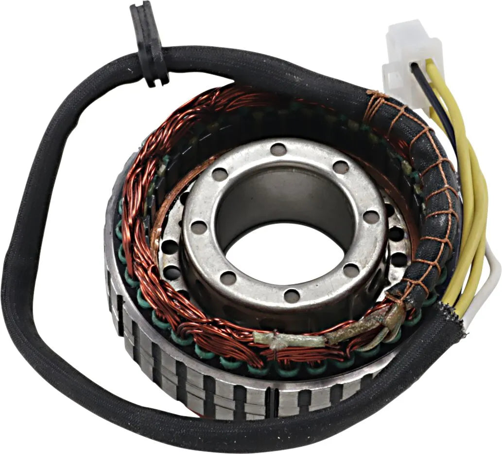 Ricks Motorsport elektriske stator