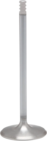 Kibblewhite hvid diamant motorventil