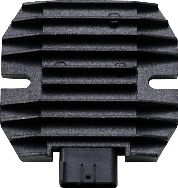 Ricks litium-ion ensretterregulator 21121374