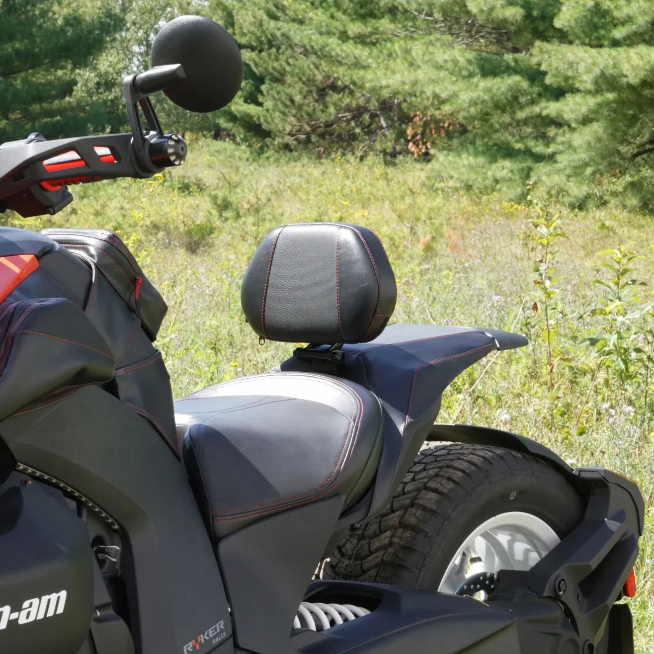 Vis Chrome Grande ryglæn til Can-am