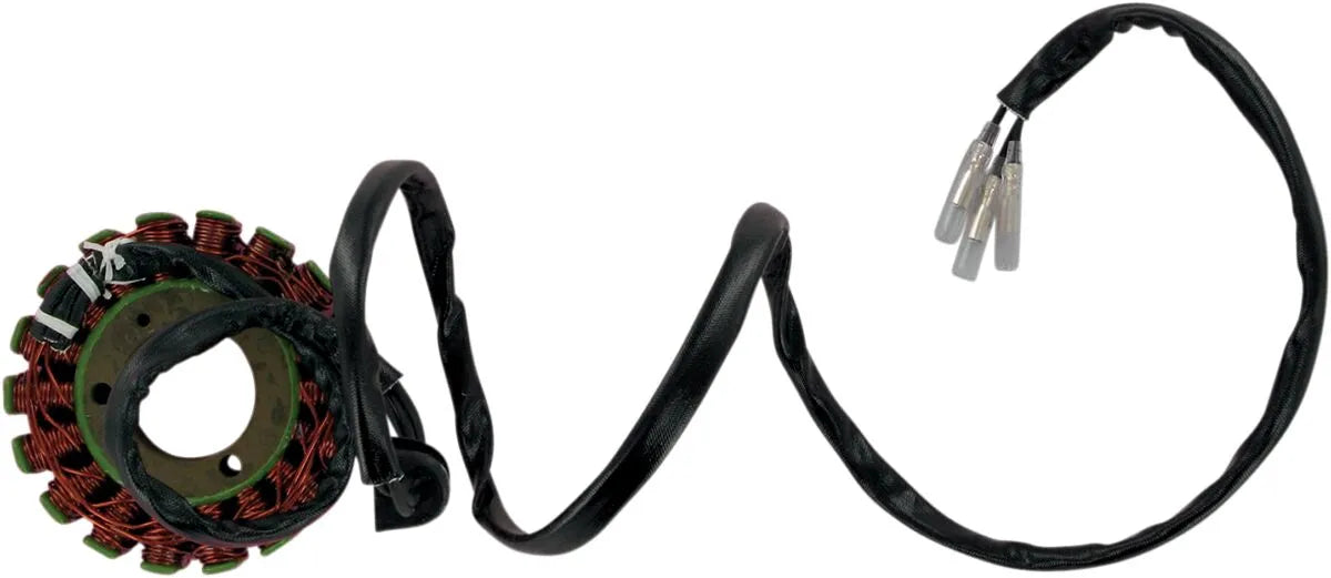 Rick's Motorsport Elektrisk Stator Til Suzuki