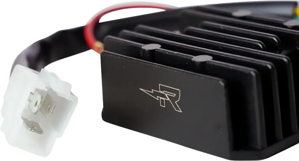 Ricks litium-ion ensretterregulator 21121275