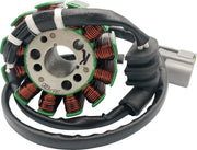 Ricks Motorsport elektriske stator