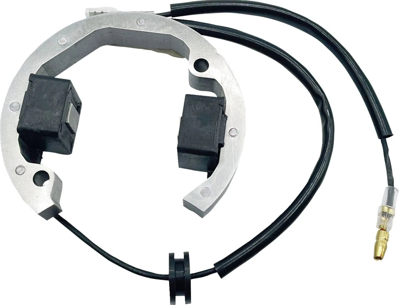 Ricks Motorsport elektriske stator