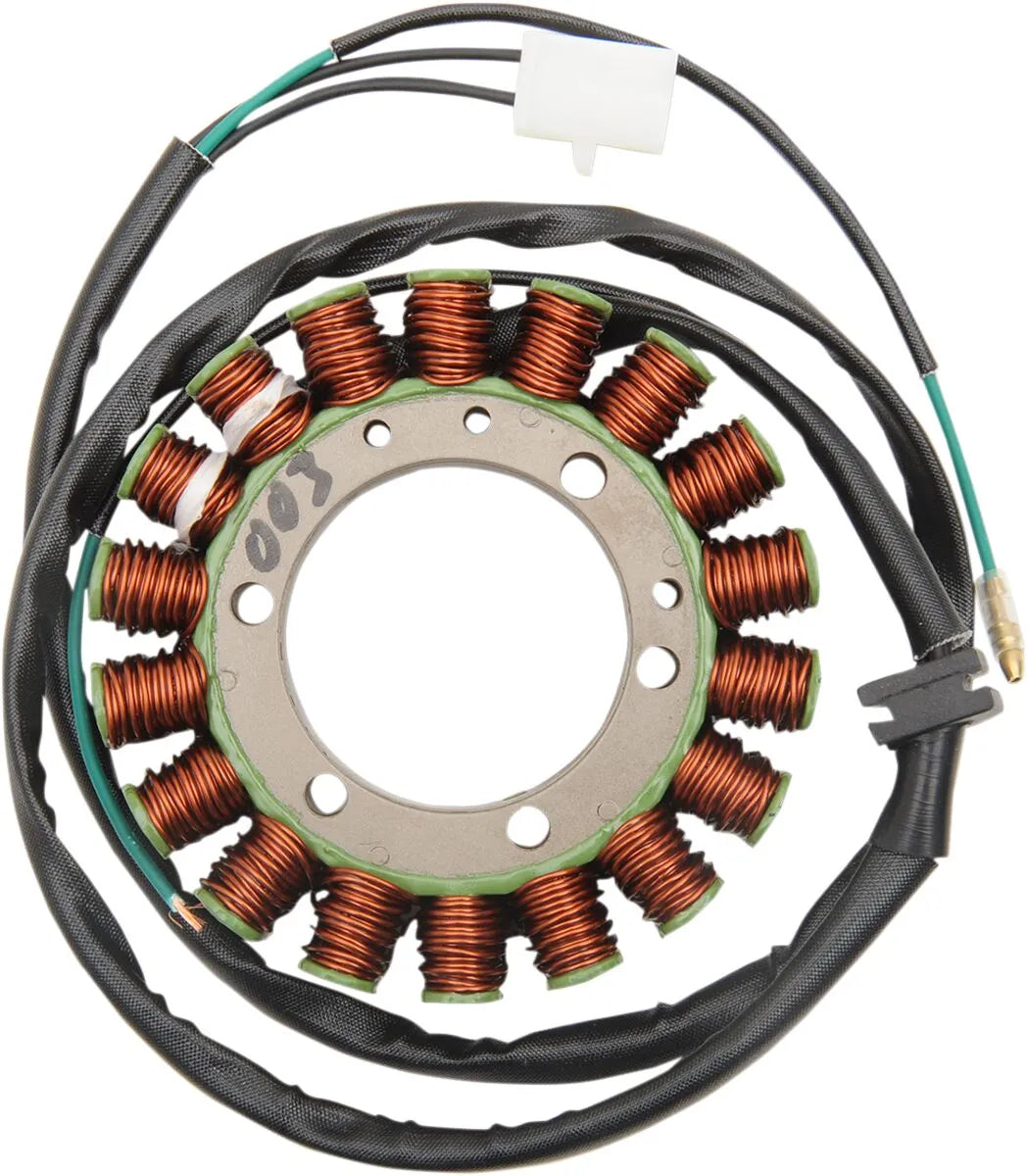 Ricks Motorsport elektriske stator
