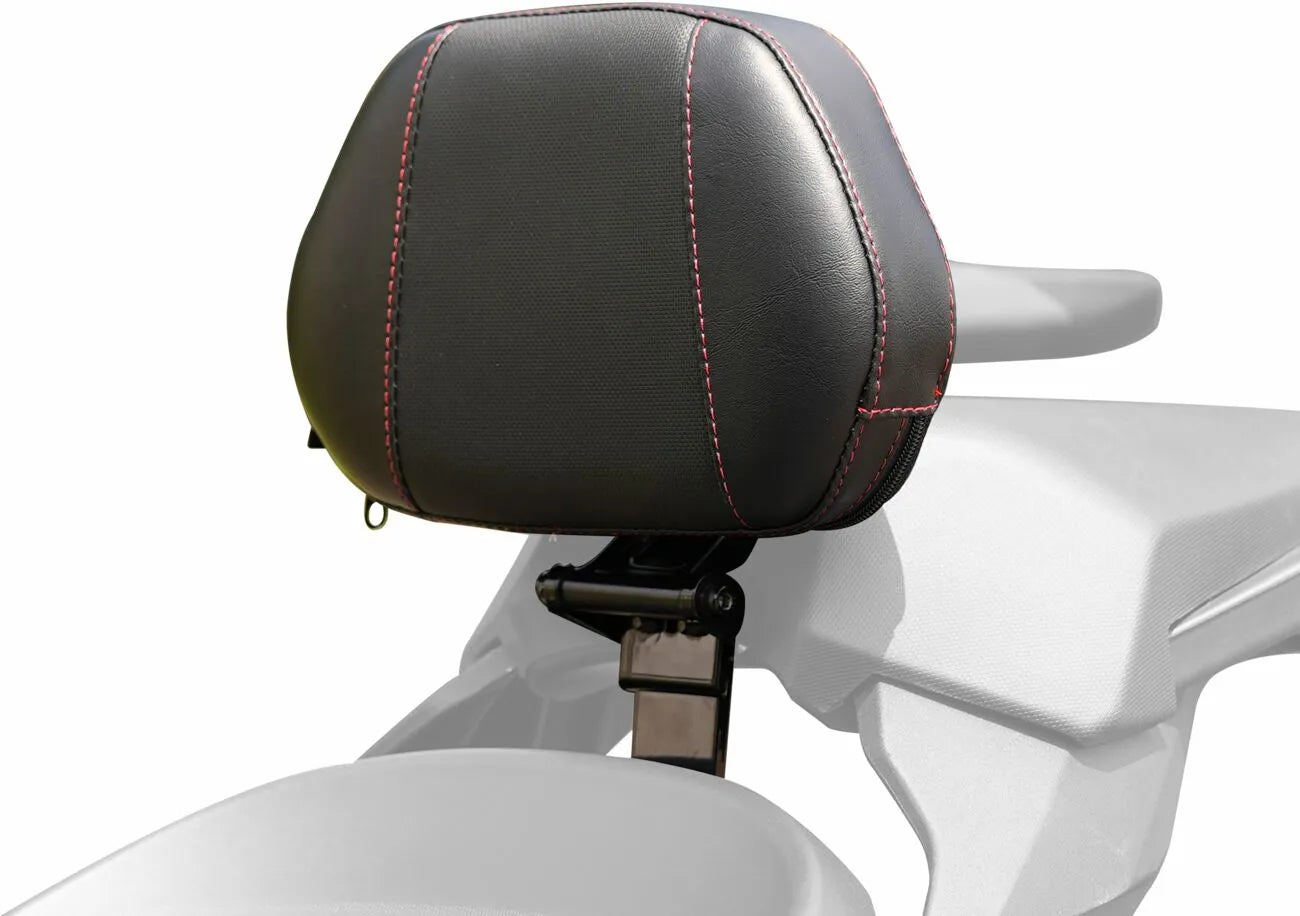 Vis Chrome Grande ryglæn til Can-am