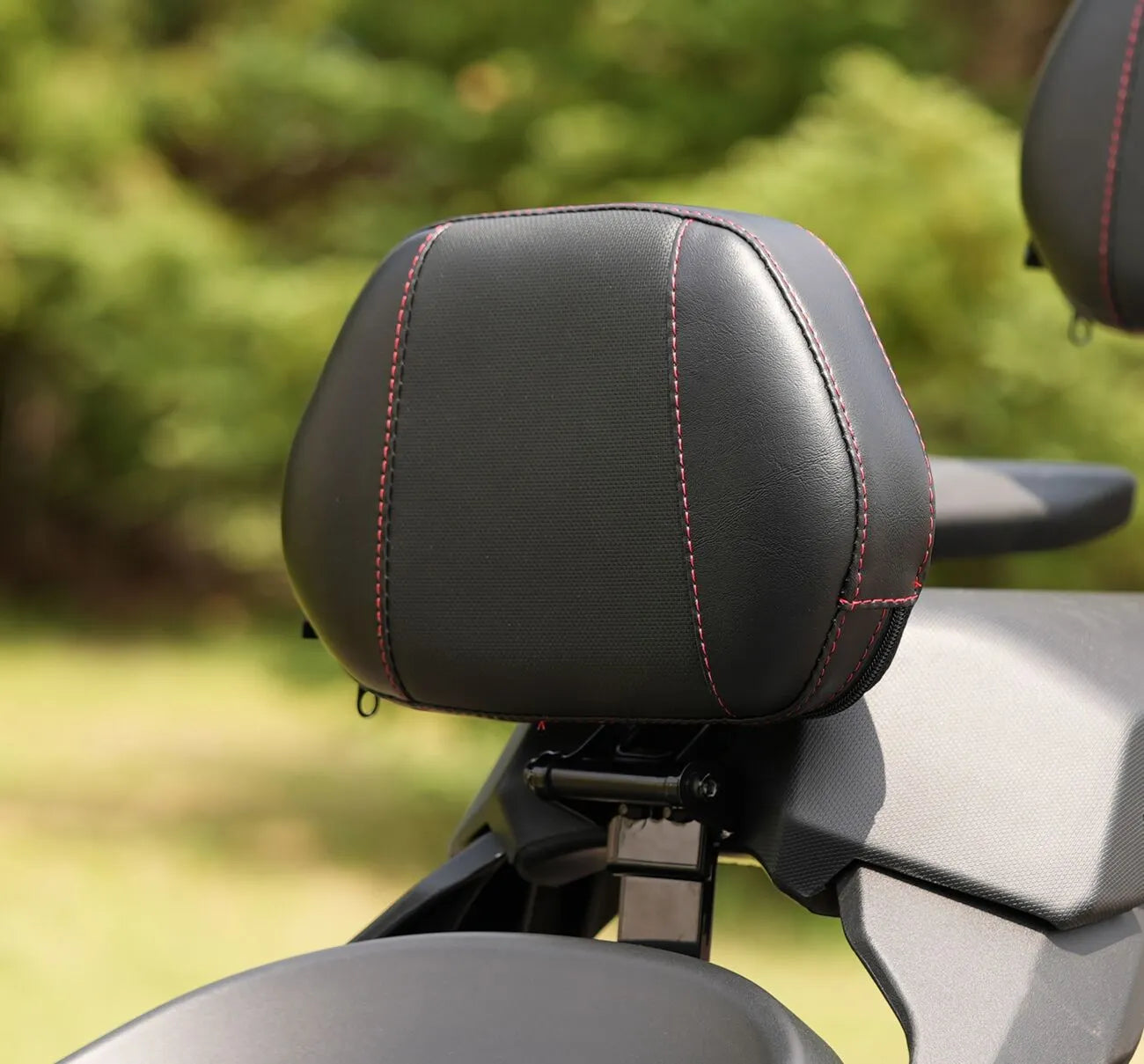 Vis Chrome Grande ryglæn til Can-am