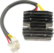 Rick's Motorsport Hot Shot ensretterregulator