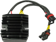 Ricks Motorsport ensretterregulator til sejr