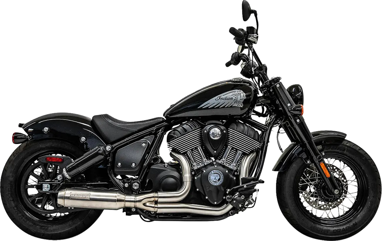 Bassani Xhaust 2-into-1 Exhaust System