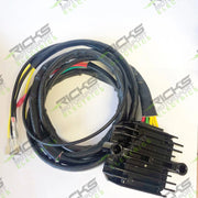 Rick's Motorsport Ensretterregulator til BMW