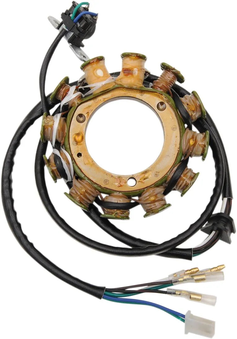 Ricks Motorsport elektriske stator