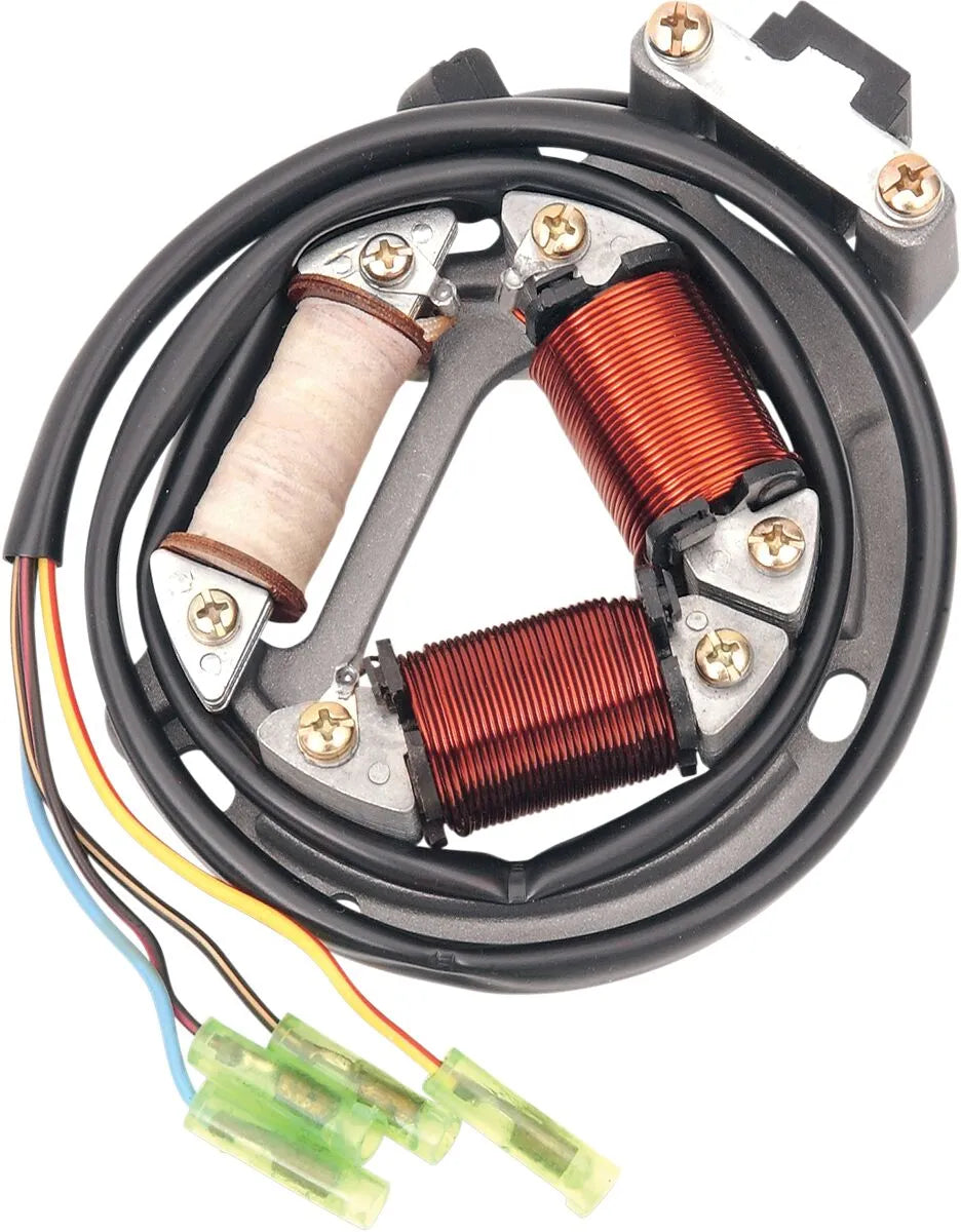 Rick's Motorsport Elektrisk Stator Til Suzuki