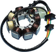 Ricks Motorsport elektriske stator