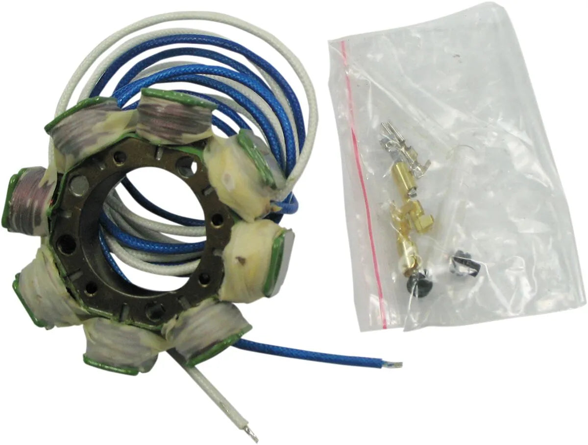 Ricks Motorsport elektriske stator