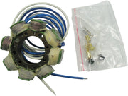 Ricks Motorsport elektriske stator