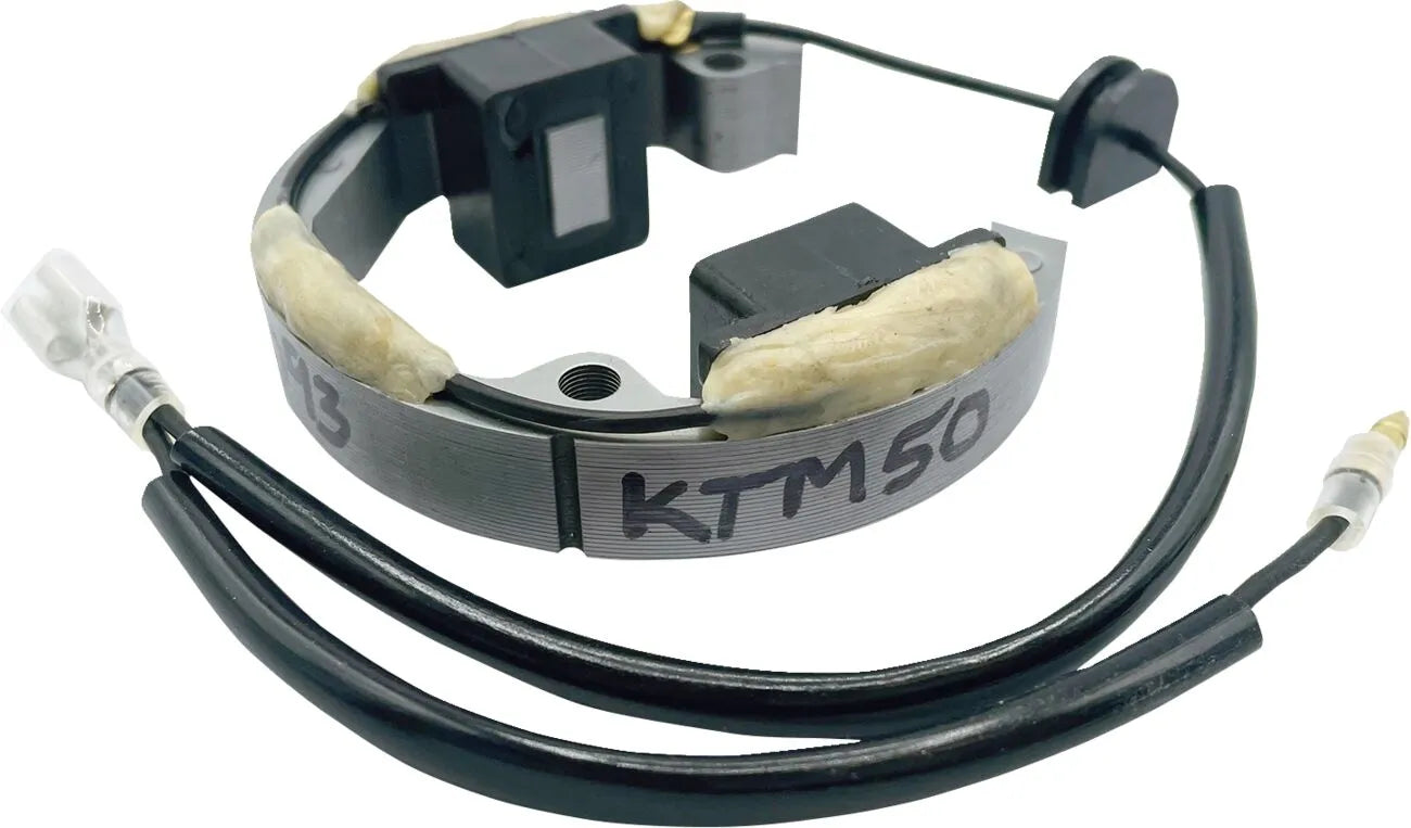 Ricks Motorsport elektriske stator