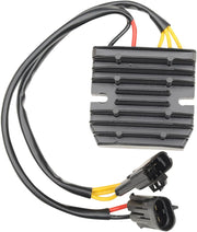 Ricks Motorsport ensretterregulator til sejr